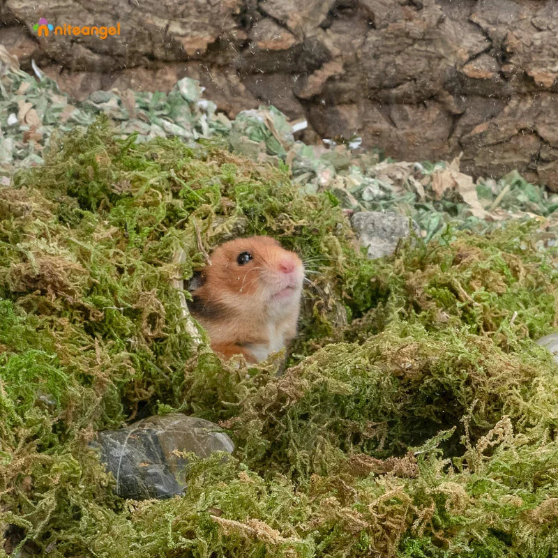 Niteangel Forest Moss Bedding Nest