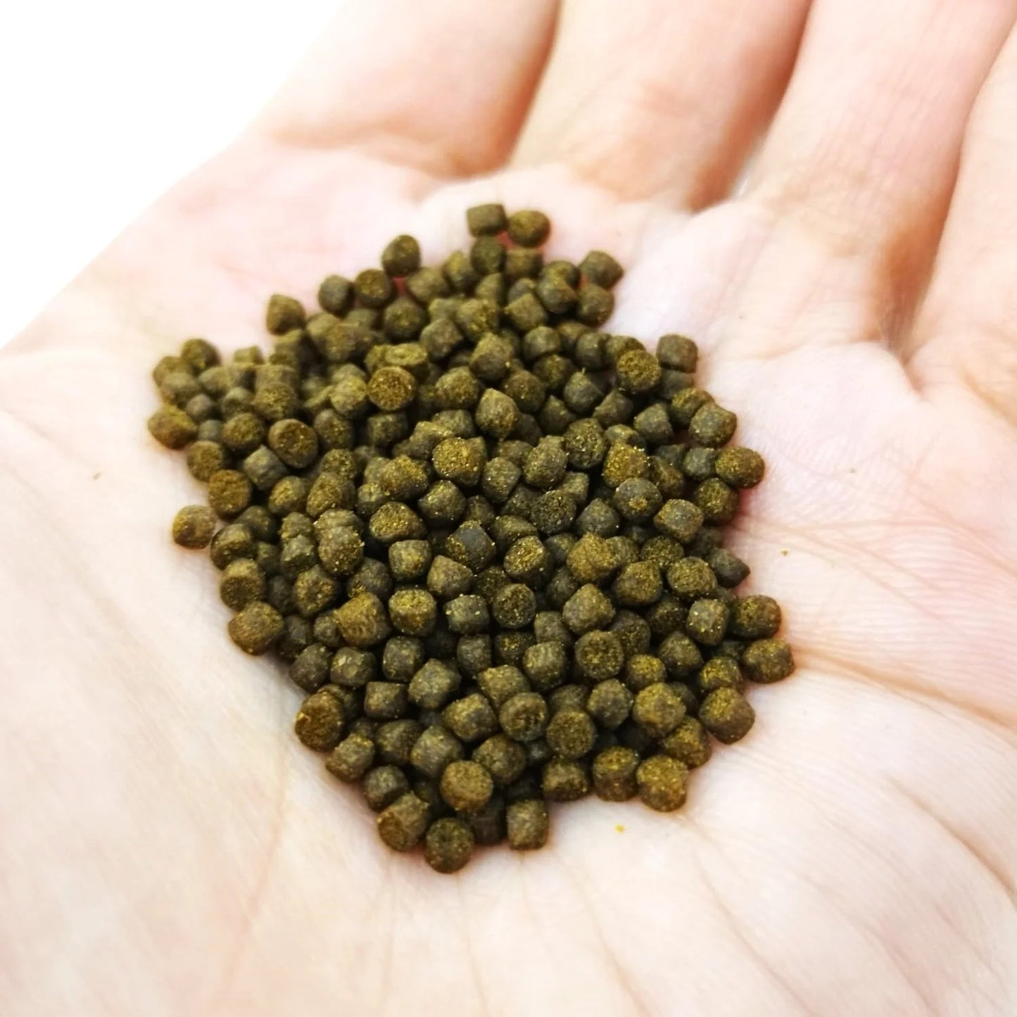 ANS Hi Protein Floating Pellet