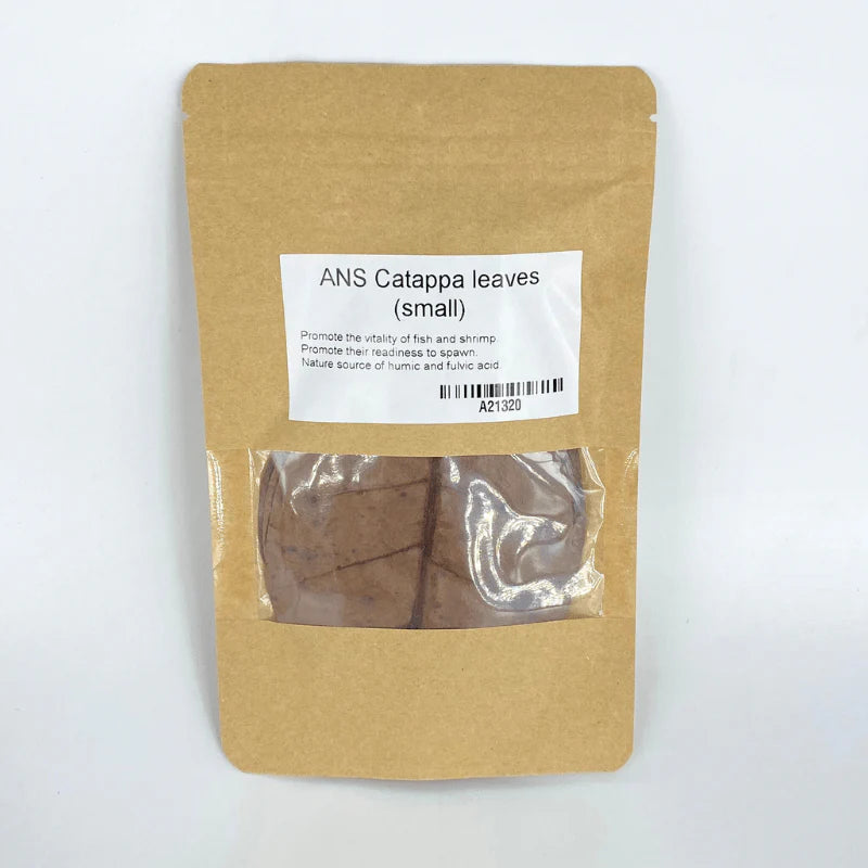ANS Catappa Leaves Small | Indian Almond Leaves