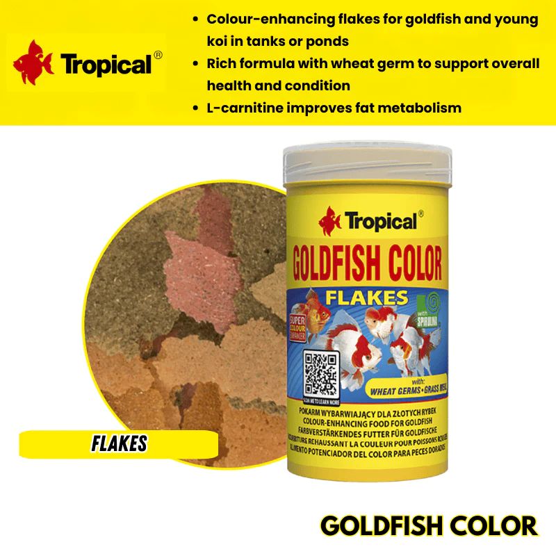 Tropical Goldfish Color Flakes