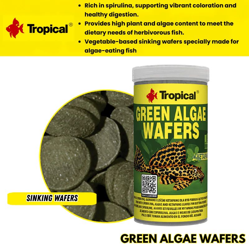 Tropical Green Algae Wafers