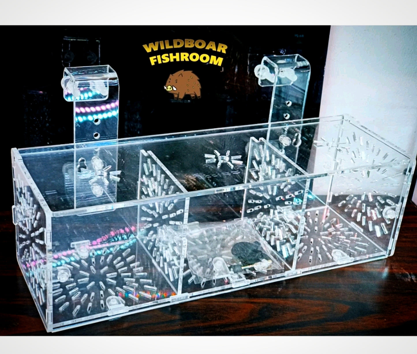 Acrylic isolation box