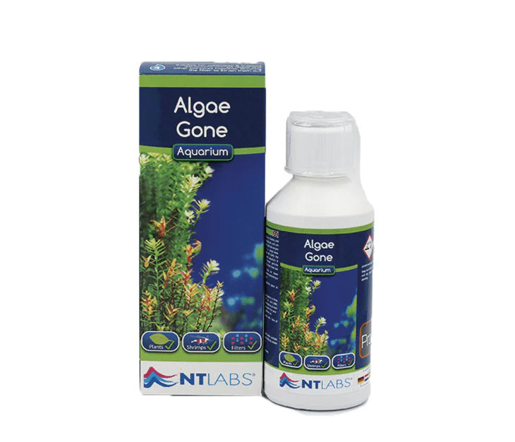 NT LABS Aquarium Algae Gone