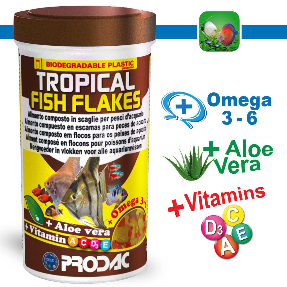 ember tetras x 10 and Prodac Tropical Fish Flakes 50g x 1