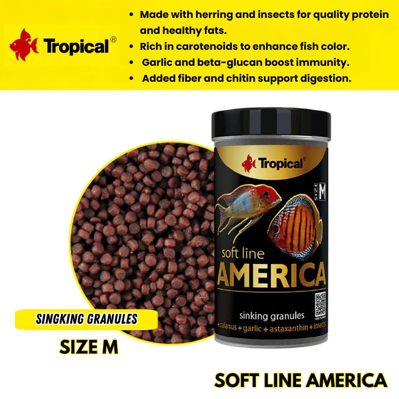 Tropical Soft Line America Size M