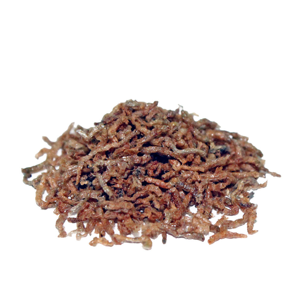 Prodac Bloodworms Chironomus