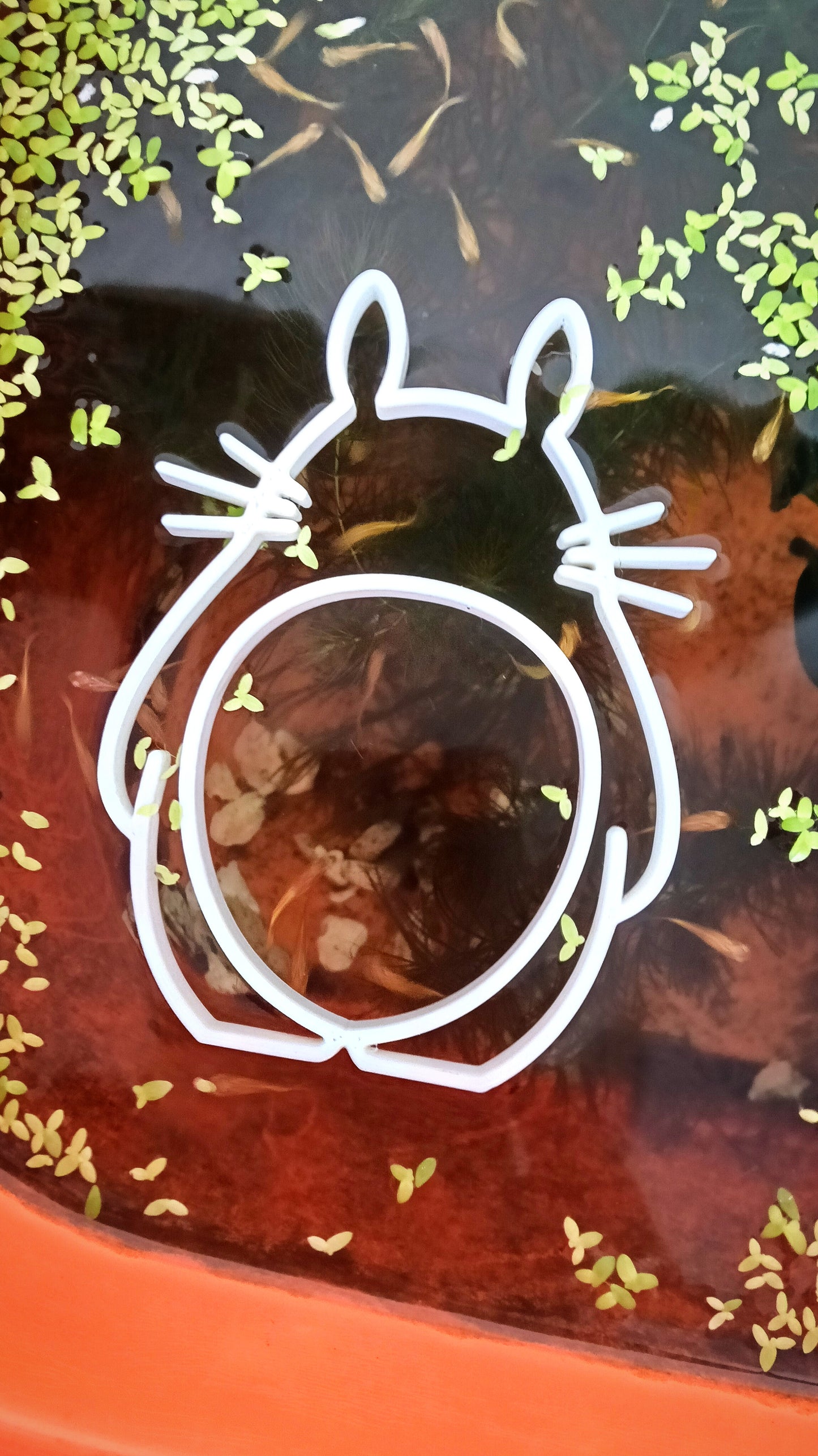 lampeye rasbora x 4 and totoro floating plate x 1