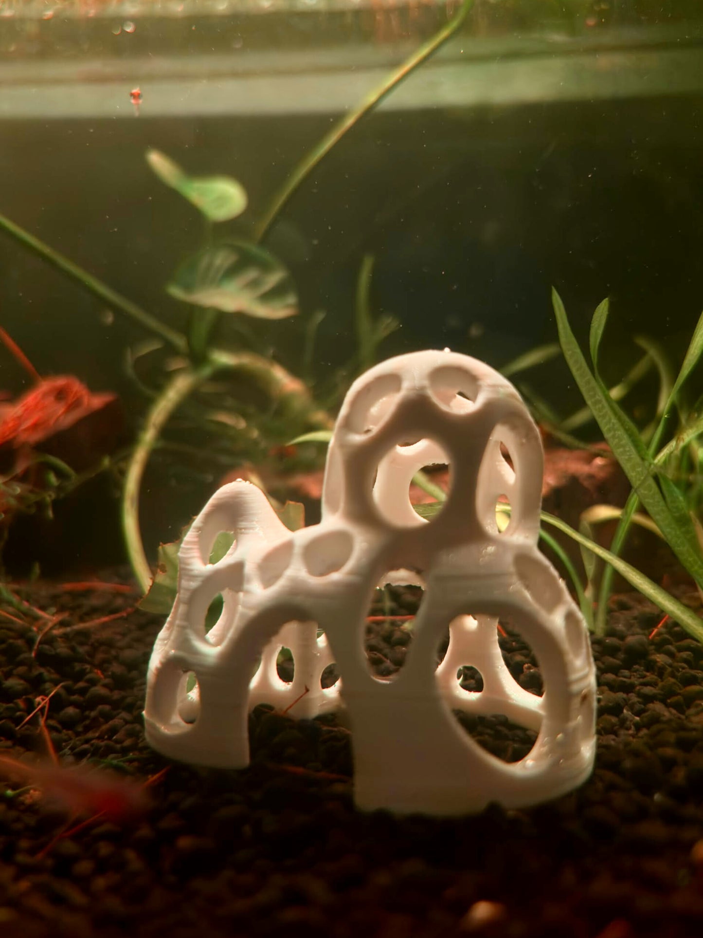 Shrimps cave / shelter