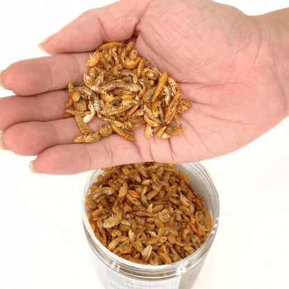 Nature Grains! Gammarus