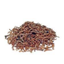 PRODAC Bloodworms chironomus