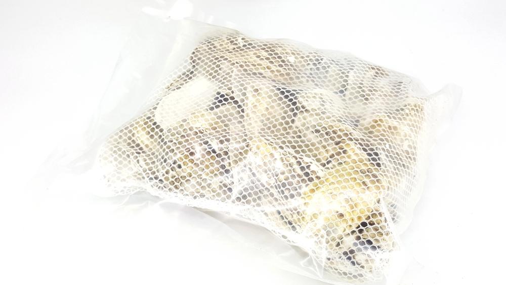 ANS Oyster Shell XL with Net - pH Stabilizing