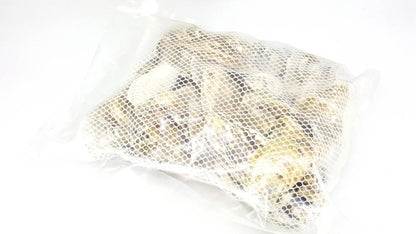 ANS Oyster Shell XL with Net - pH Stabilizing