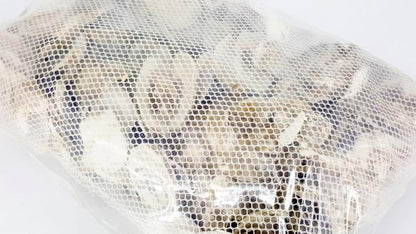 ANS Oyster Shell XL with Net - pH Stabilizing