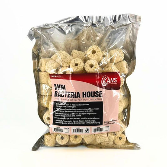 ANS Mini Bacteria House (2.5cm) 1kg