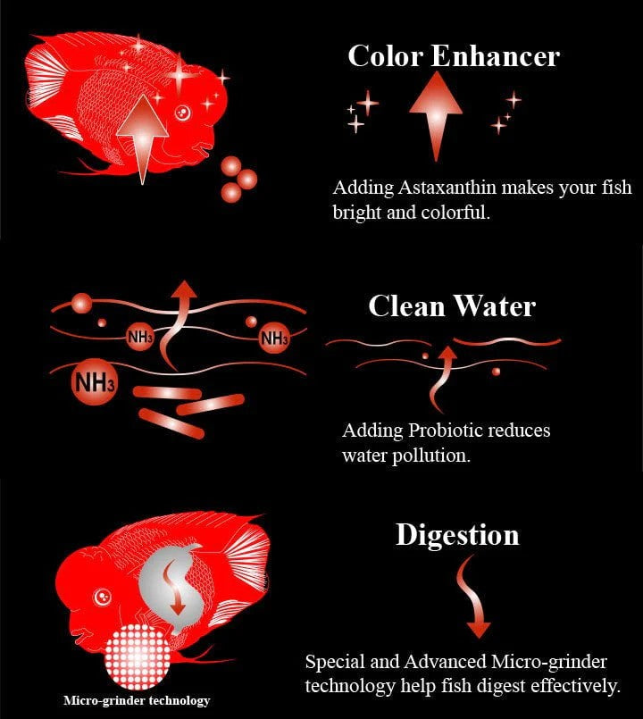 AquaMaster Fish Colour Red Parrot with natto probiotics