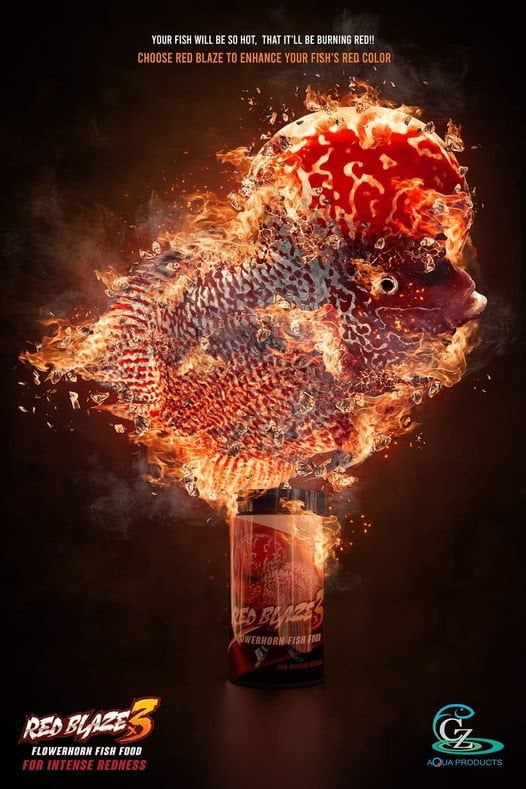CZ Aqua Red blaze x3 100g (Intense Red Fish Food For Flowerhorn)
