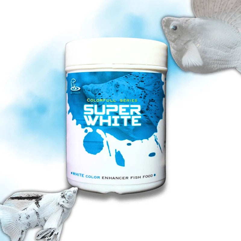 CZ Aqua Super White