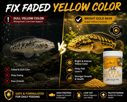 CZ Aqua Channa Super (YELLOW) 50g