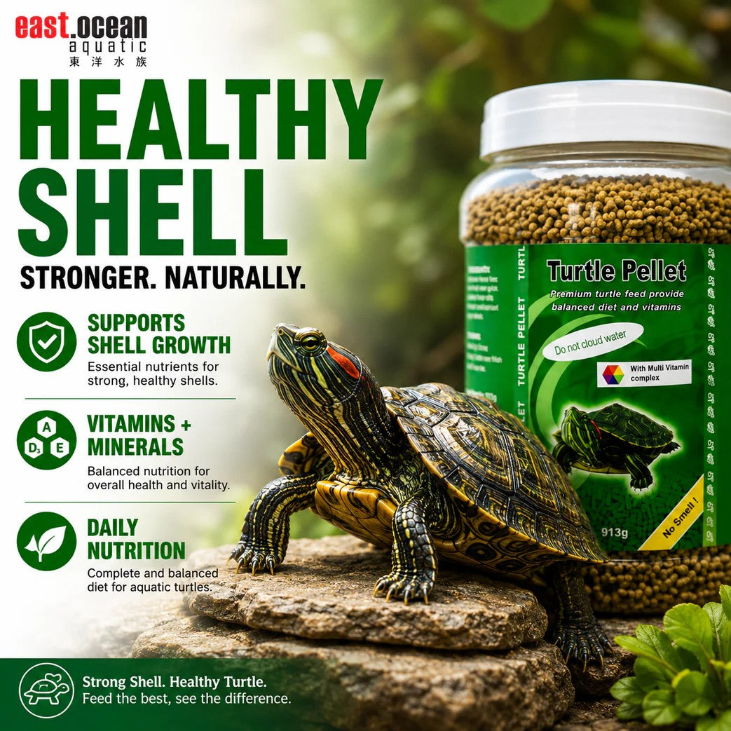 ANS Turtle Feed | for Healthy Shell & Clean Water