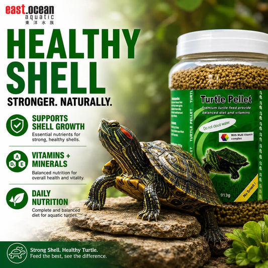 ANS Turtle Feed | for Healthy Shell & Clean Water