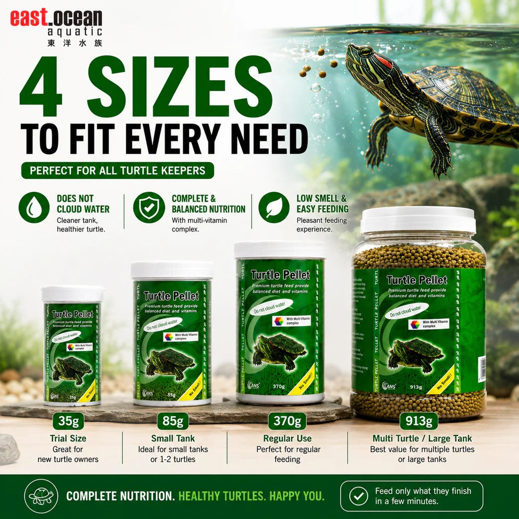 ANS Turtle Feed | for Healthy Shell & Clean Water