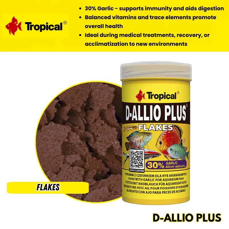 D-ALLIO PLUS