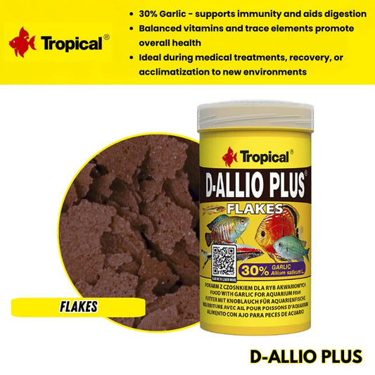 D-ALLIO PLUS