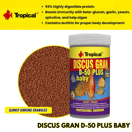 Tropical Discus Gran D-50 Plus Baby (high color and growth)