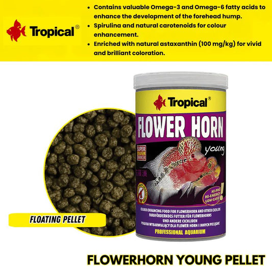 Tropical Flower Horn Young Pellet (colour enhancing)