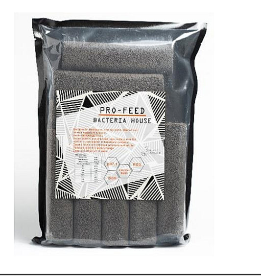 PF Bacteria House Charcoal Rod (8 pcs)