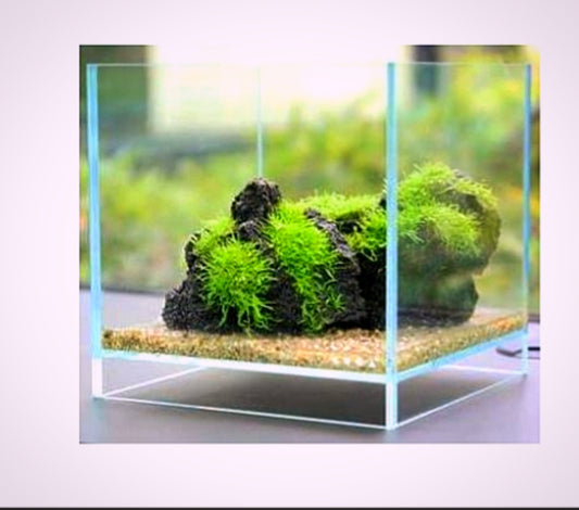 F-C22 high grade crystal tank