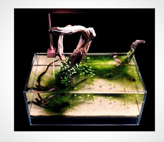 F-L32 high grade crystal tank