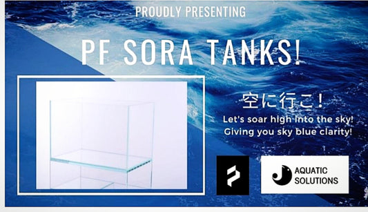 PF C-series (clear) High grade crystal tank