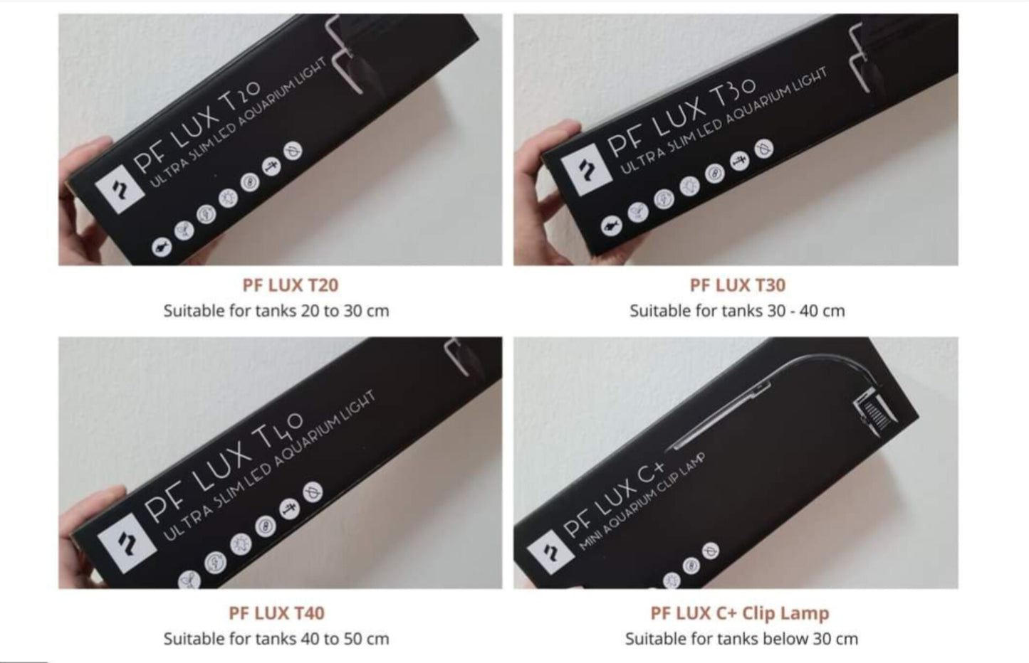 PF Lux series LED light