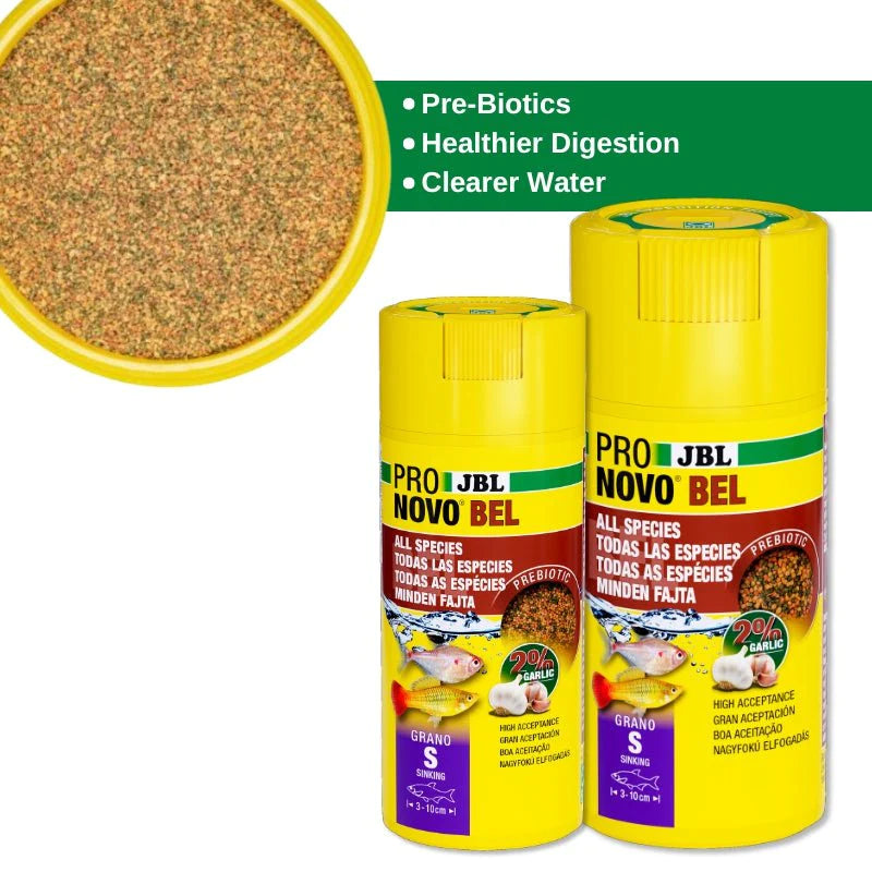 JBL ProNovo Bel Grano S