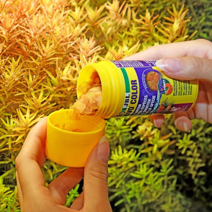 JBL ProNovo Color Flakes M (Colour Enchancing Flakes for Tropical Fishes)