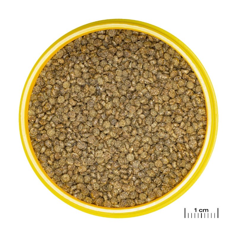 JBL ProNovo Gourami Grano S (Colour Enhancing Diet)