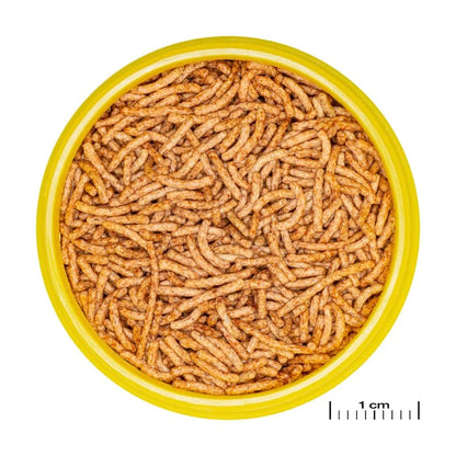 JBL ProNovo Red Insect Stick S (Quality Insect Treat For Goldfish)