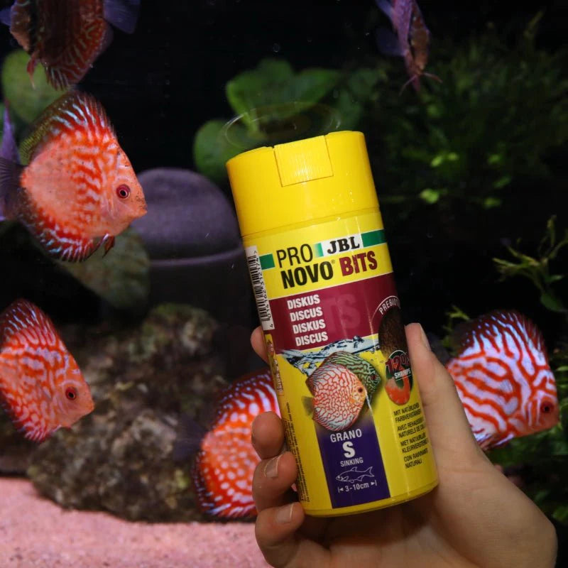 JBL PRONOVO BITS GRANO S (Discus Feed)