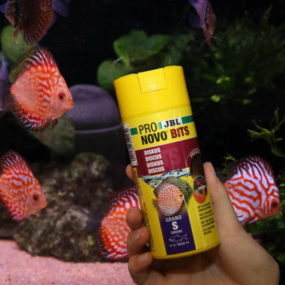 JBL PRONOVO BITS GRANO S (Discus Feed)