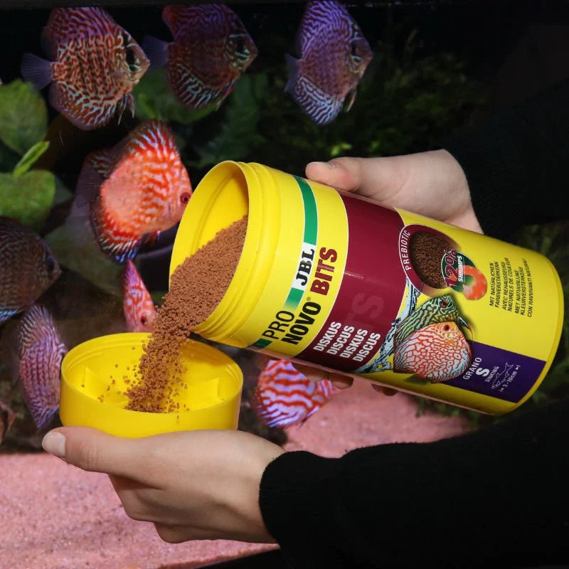 JBL PRONOVO BITS GRANO S (Discus Feed)