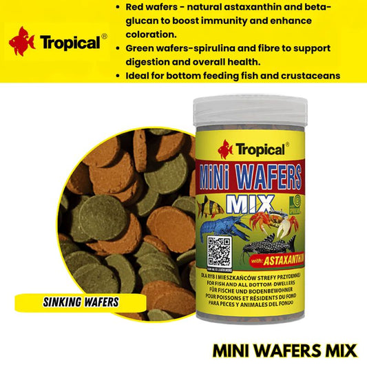 Tropical Mini Wafers Mix