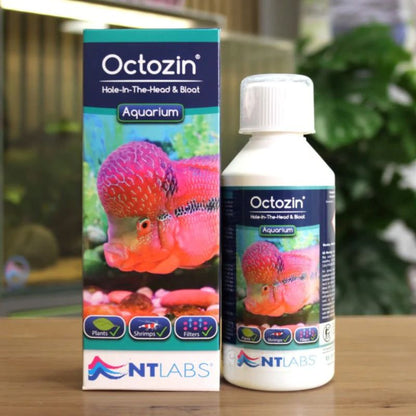NT LABS Aquarium Octozin 250ml