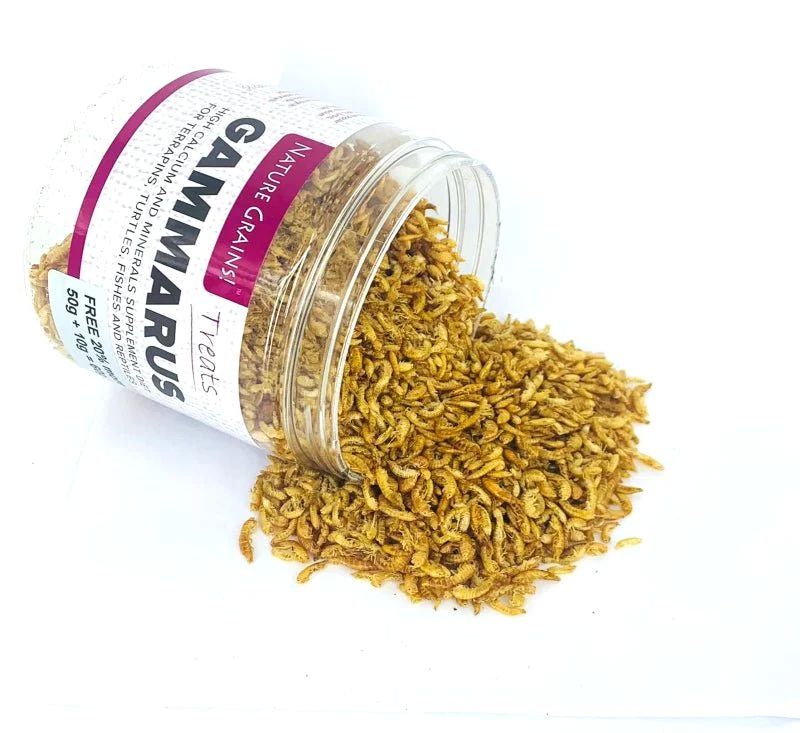 Nature Grains! Gammarus