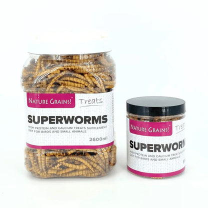 Nature Grains! Superworms