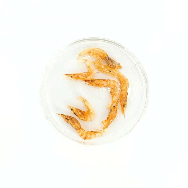 Nature Grains! Shrimp