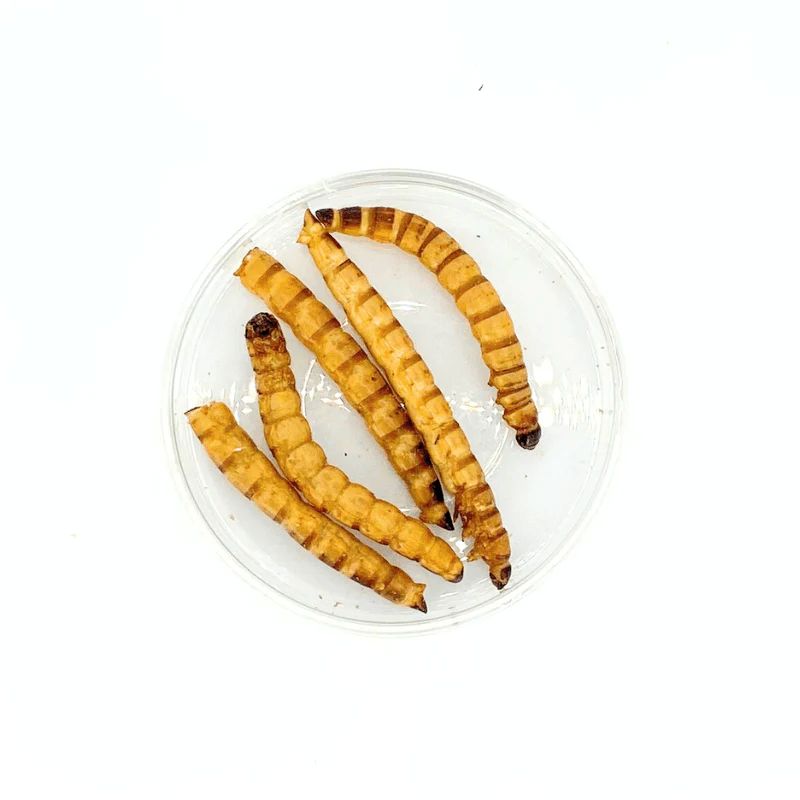 Nature Grains! Superworms