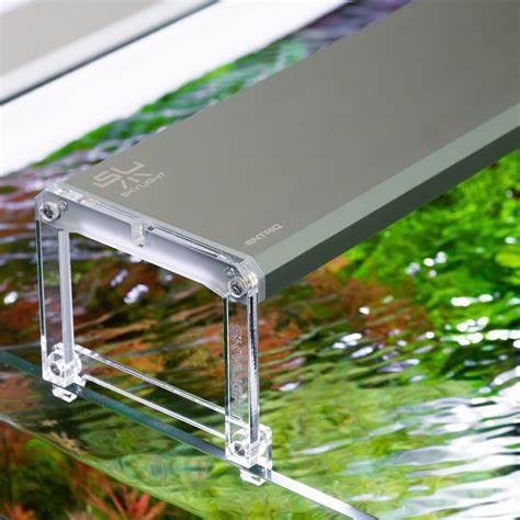 Skylight Entriq (60cm)