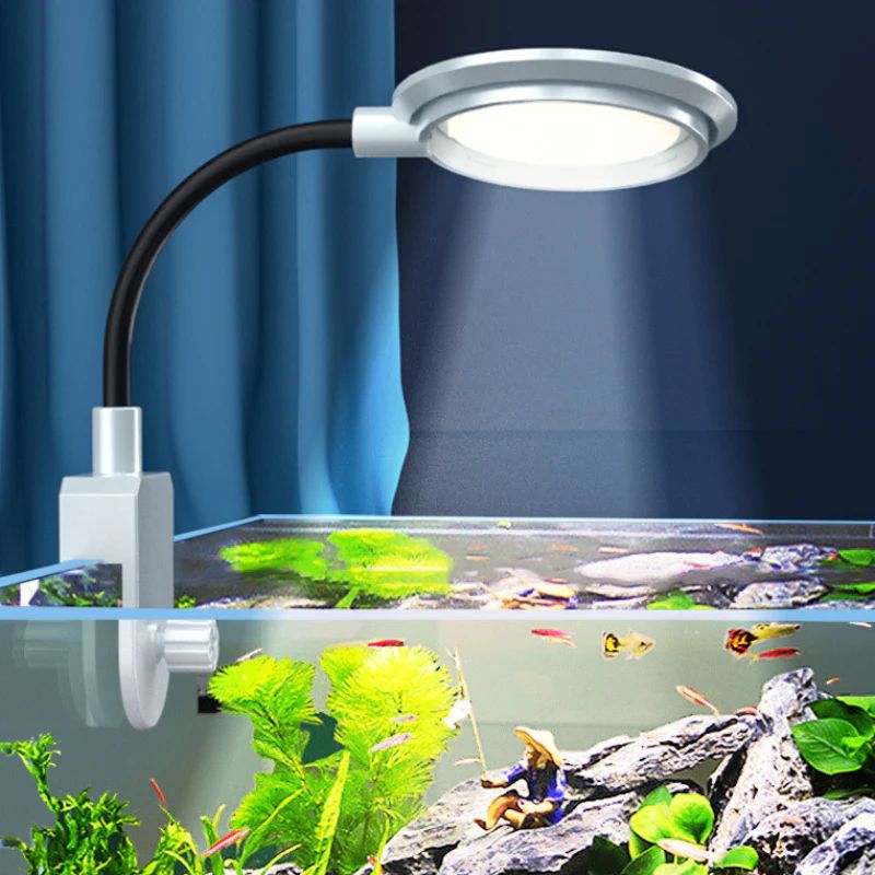 ROXIN X5-SM SMALL COD light