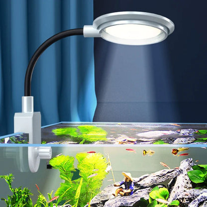 ROXIN X5-SM SMALL COD light